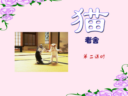 老舍的《猫》第二课时