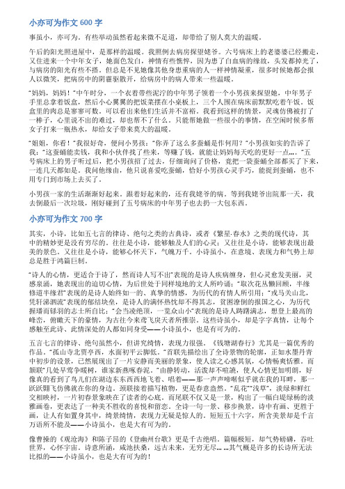 小亦可为作文范文