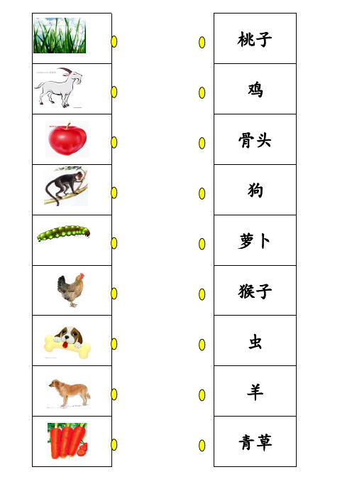 儿童识字图片连线一(字加画)资料