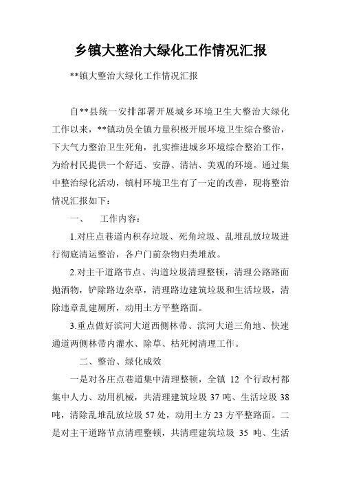 乡镇大整治大绿化工作情况汇报