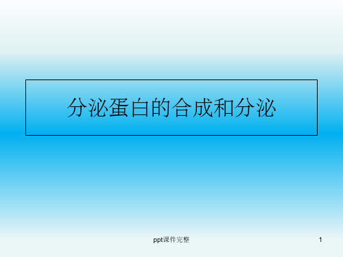 分泌蛋白的合成和分泌ppt课件
