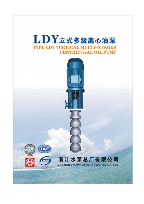 ldy系列立式多级离心油泵安装使用说明书