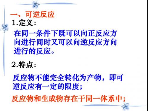 化学：2.1.2《化学反应的限度》课件(苏教版必修2)