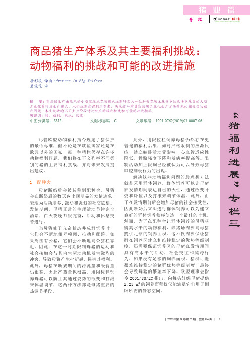 商品猪生产体系及其主要福利挑战：动物福利的挑战和可能的改进措施