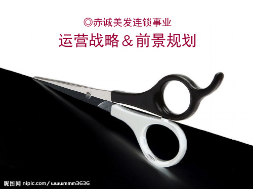 美容企业战略规划