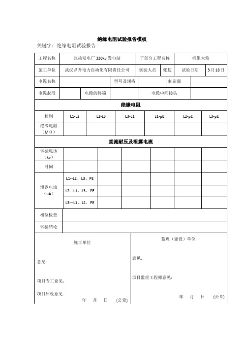 绝缘电阻试验报告模板