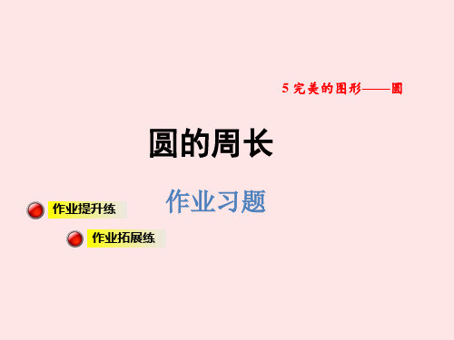 六年级上册数学课件圆的周长 习题_青岛版(秋) (共8张PPT)