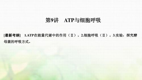 高考生物一轮复习第三单元细胞的能量供应和利用第9讲a