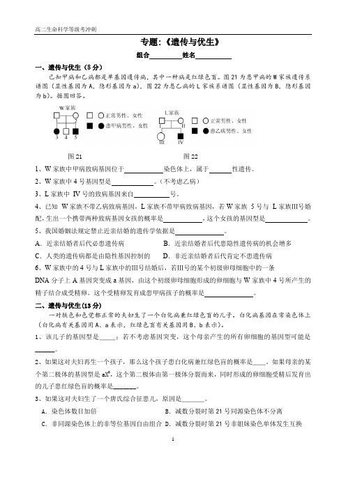 高考生物专题《遗传与优生》
