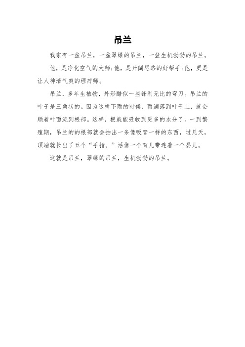 三年级描写《吊兰》的作文3篇