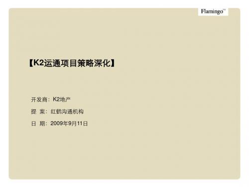 红鹤沟通2009年北京运通项目策略深化