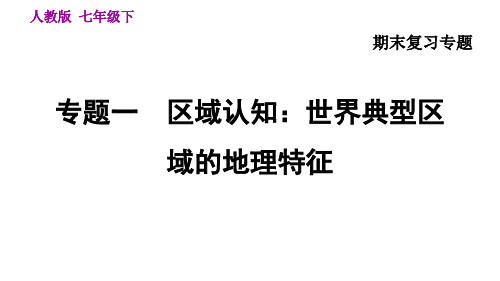 人教版地理七年级下册专题复习试题(全套)