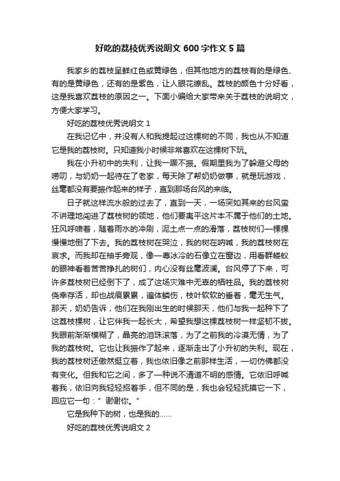 好吃的荔枝优秀说明文600字作文5篇