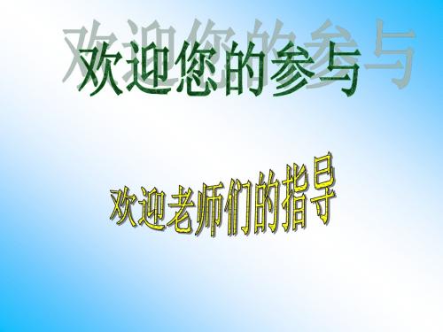 锐角三角函数《复习与小结》(湘教版)