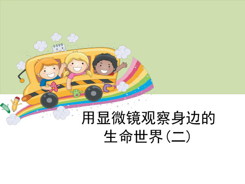 《用显微镜观察身边的生命世界(二)》微小世界-教科版六年级科学下册PPT课件