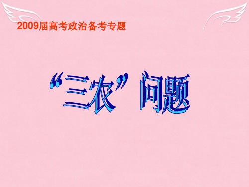高考政治备考专题“三农”问题课件