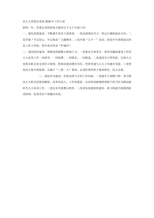 县人大常委会党组2019年工作计划.docx