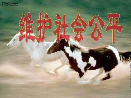 维护社会公平_ABC教育网_-PPT精品文档