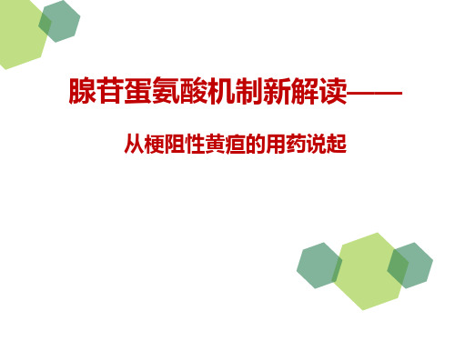 腺苷蛋氨酸机制新解读——从梗阻性黄疸的用药说起