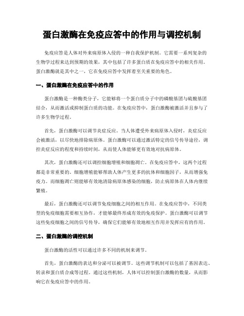 蛋白激酶在免疫应答中的作用与调控机制
