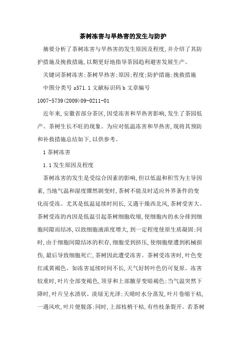茶树冻害与旱热害的发生与防护