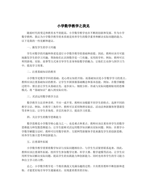 小学数学教学之我见