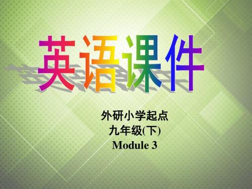 最新外研版九年级英语下Module3 Module3课件ppt