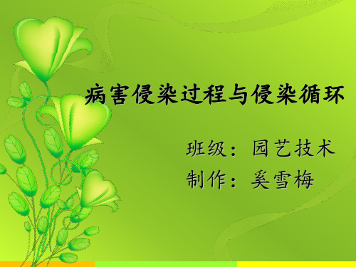 病害侵染过程与侵染循环