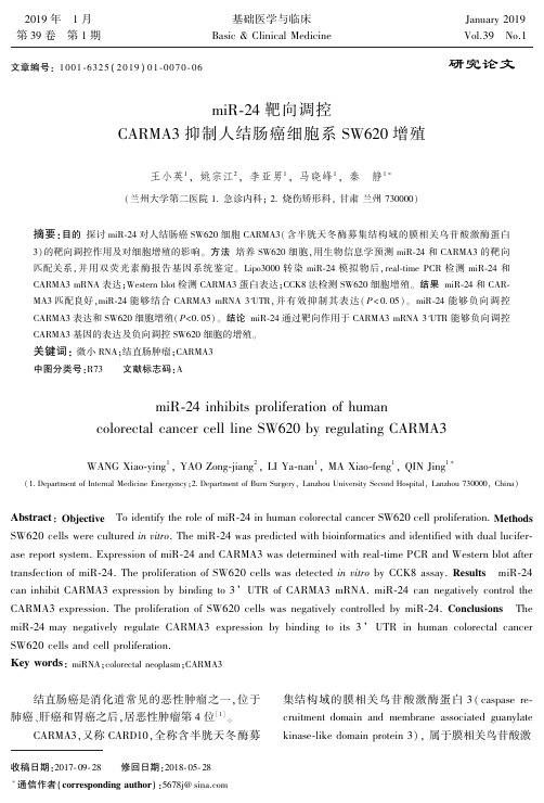 miR24靶向调控CARMA3抑制人结肠癌细胞系SW620增殖