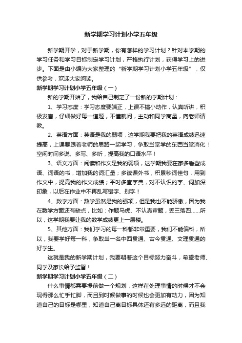 新学期学习计划小学五年级