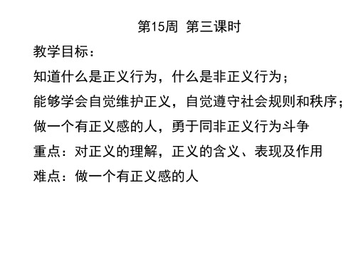 正义是人类良知的声音()PPT课件