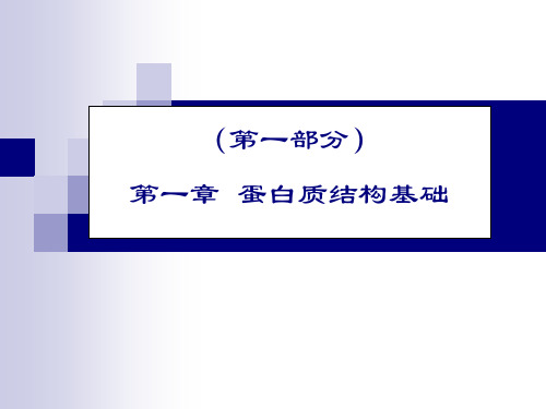 第一章蛋白质结构基础