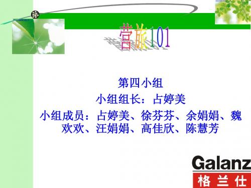 第四小组 格兰仕微波炉策划案