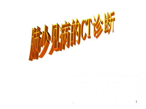肺少见病的CT诊断ppt演示课件