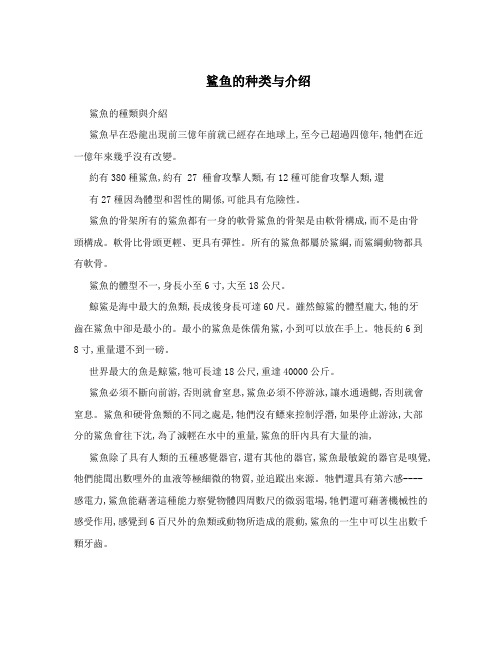鲨鱼的种类与介绍