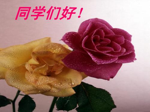 山西太原学大物理教师-高考电学实验复习讲座 (76张ppt)