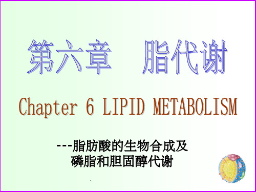 脂肪酸的生物合成及磷脂和胆固醇代谢ppt课件