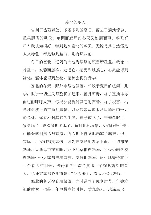 塞北的冬