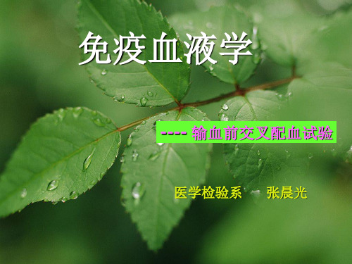 免疫血液学-配血试验(4).