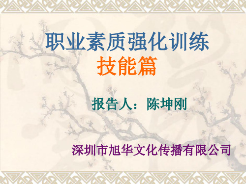 职业素质强化训练技能篇.ppt