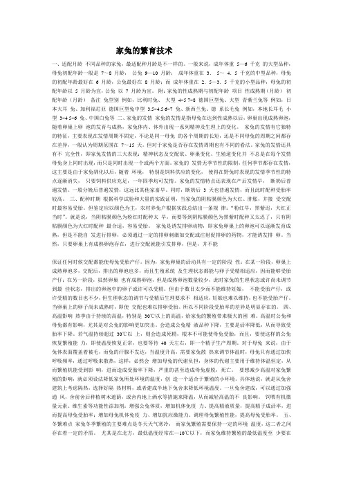 兔生产学