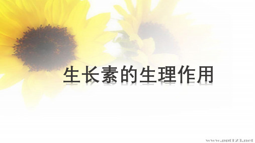 生长素的生理作用 高中生物必修一教学课件PPT 人教版