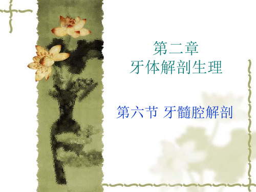 3髓腔