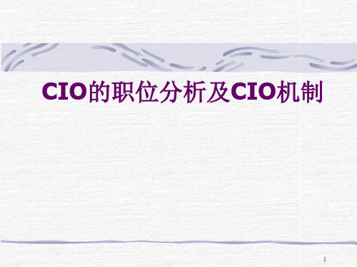 CIO的职位分析及CIO机制