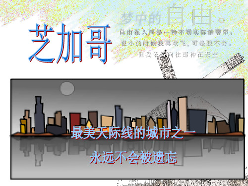 城市设计芝加哥