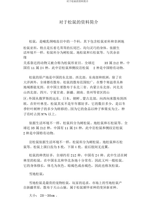 关于松鼠的资料简介