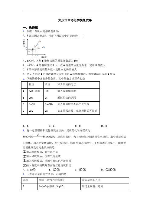 大庆市中考化学模拟试卷