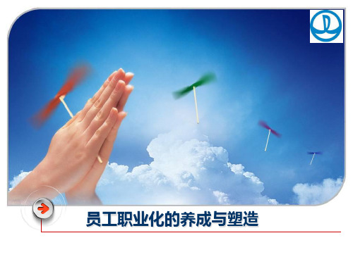 员工职业化的养成与塑造(共享版)