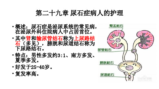 尿石症病人的护理