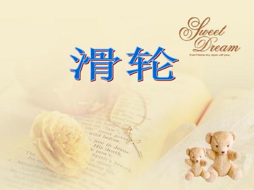 小学科学滑轮实验